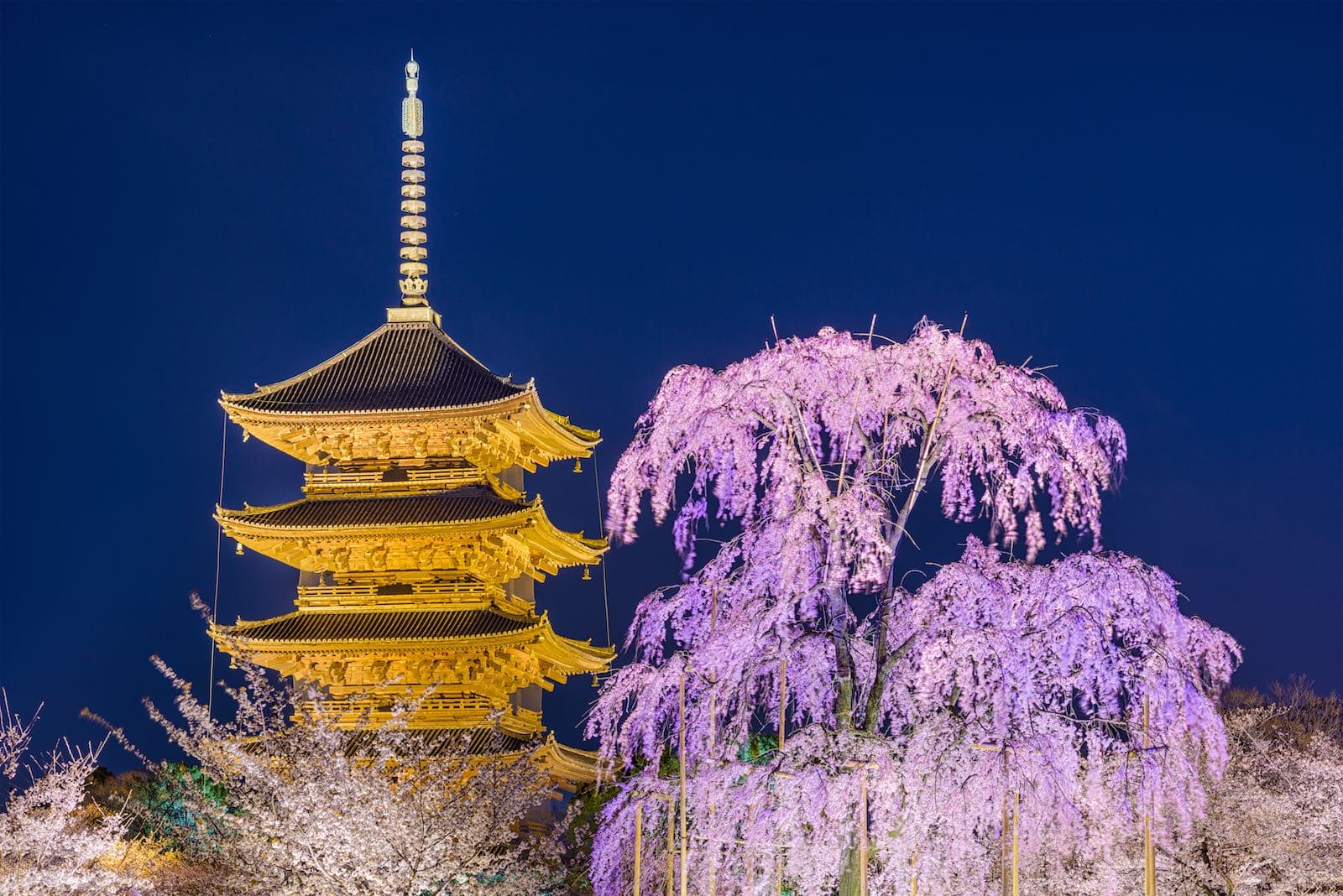 To-ji Temple Entry Tickets