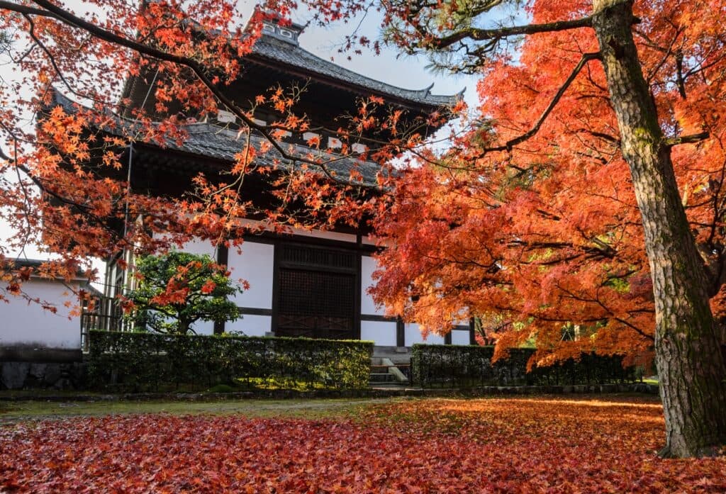 Tofukuji Temple Entry Tickets