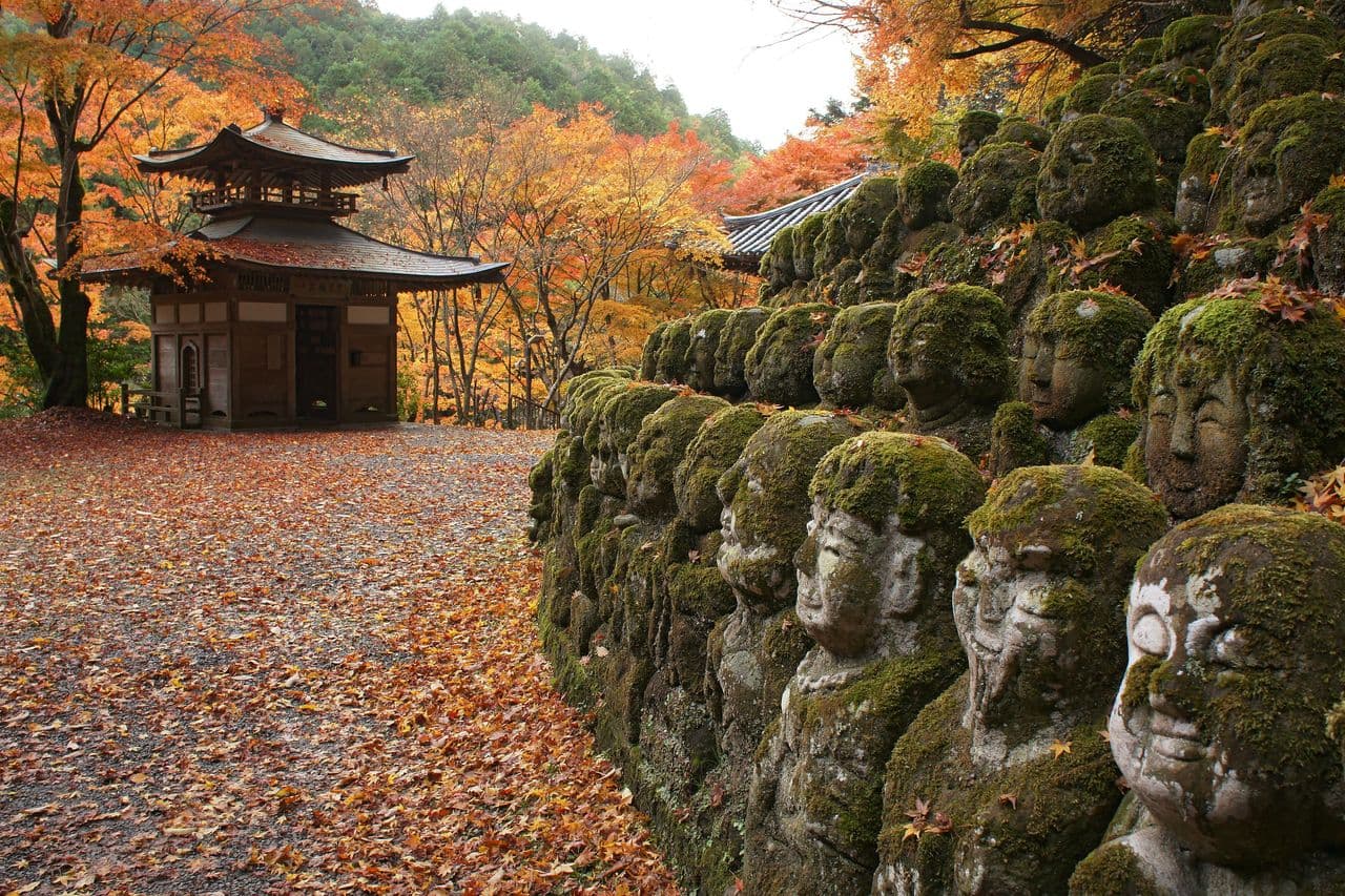 Otagi Nenbutsuji Temple Entry Tickets