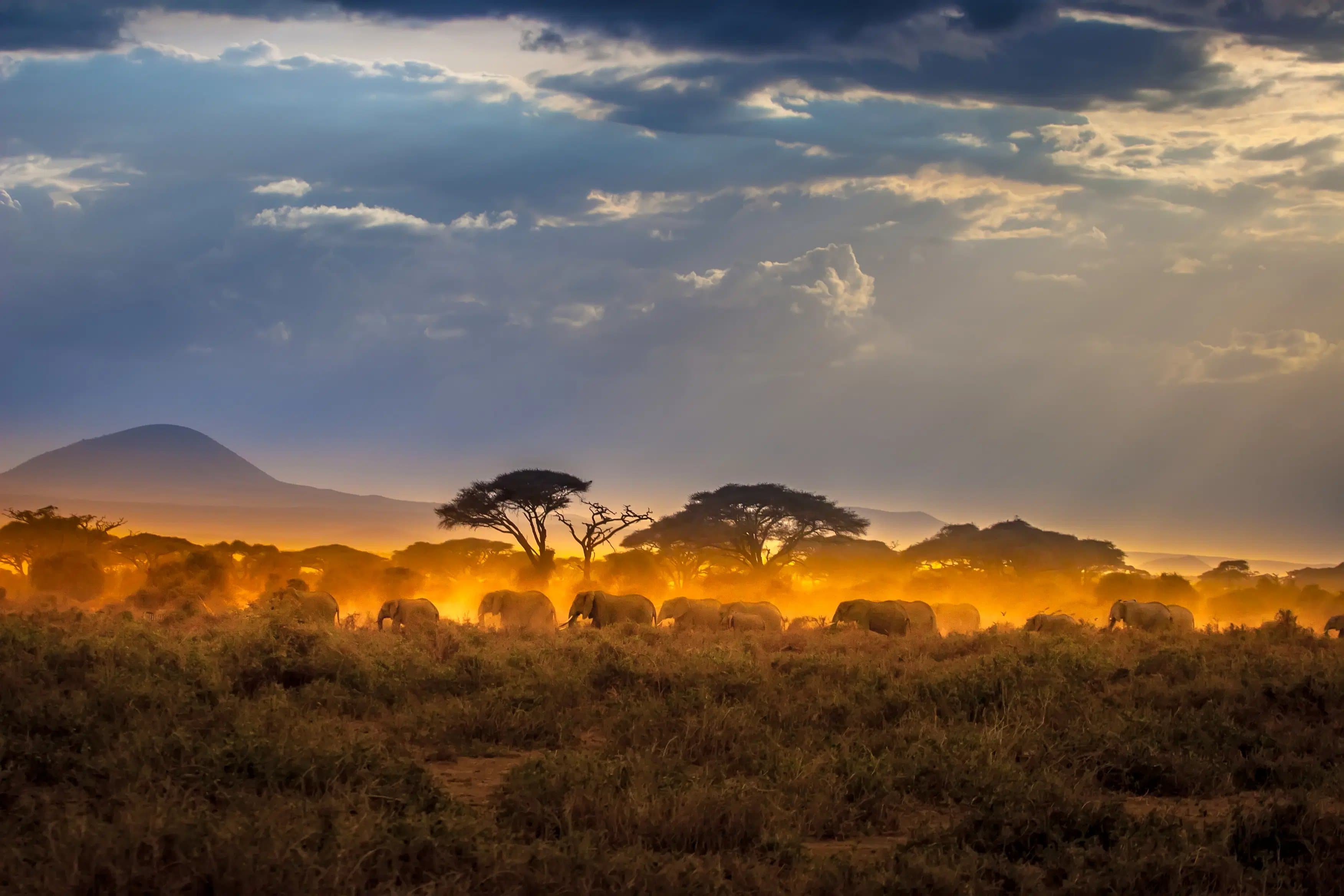 Grand Kenya Safari Adventure