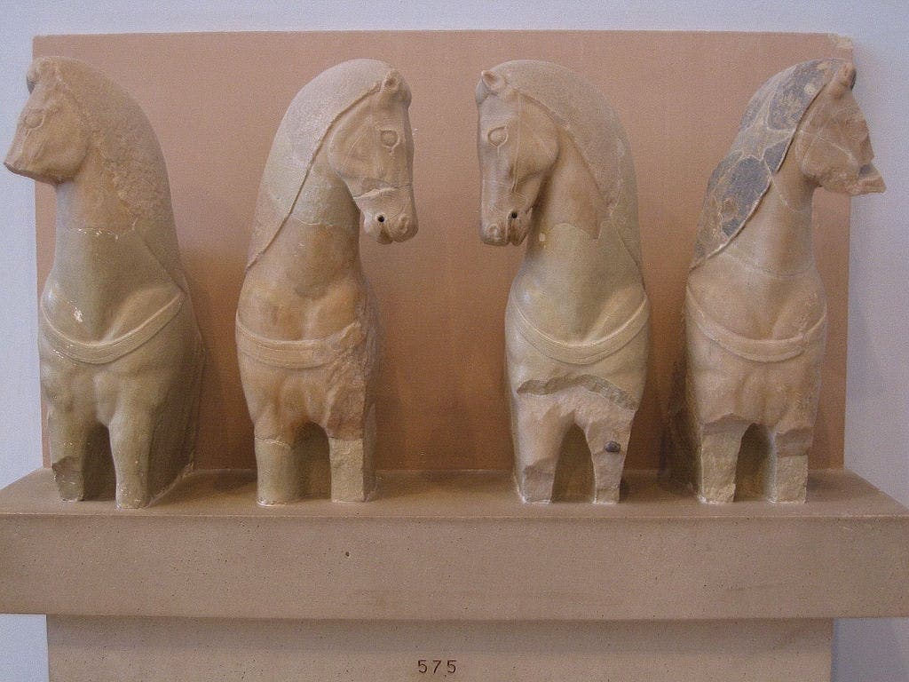 Gallery image 5